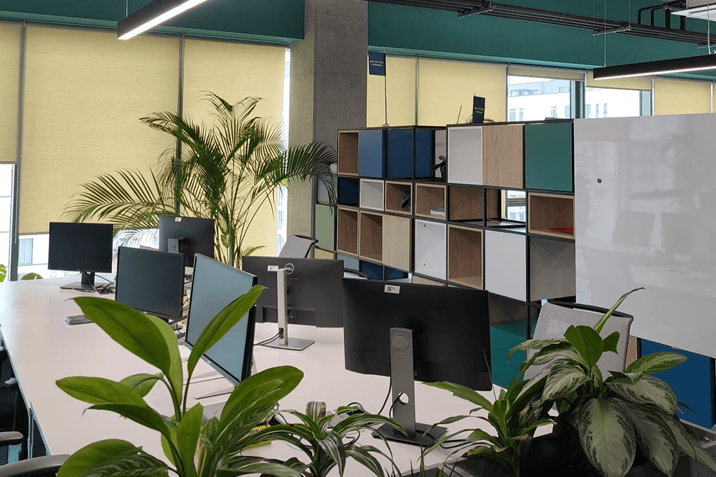 iid-homepage-birouri